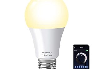 Alexa Light Bulb