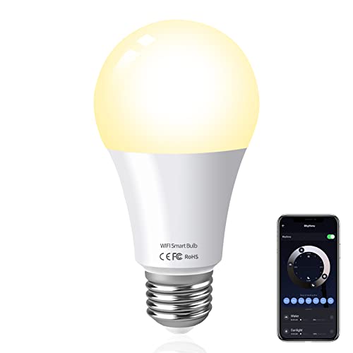 Alexa Light Bulb Alexa Light Bulb