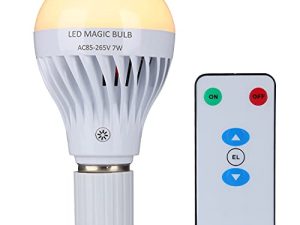 LED Magic Bulb