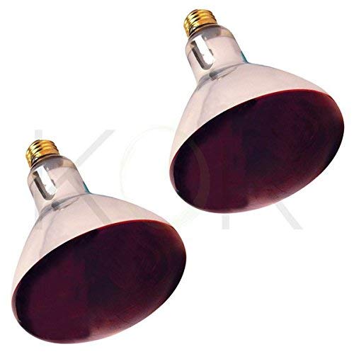 250R40/1 250-Watt 250R40/1 250-Watt