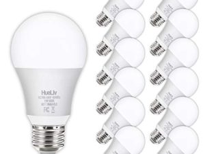 12Pack A19 LED Light Bulbs 100 Watt Equivalent 5000K Daylight White