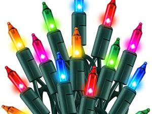 TW SHINE Outdoor Christmas Lights