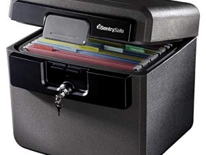 SentrySafe Fireproof and Waterproof Safe Box with Key Lock